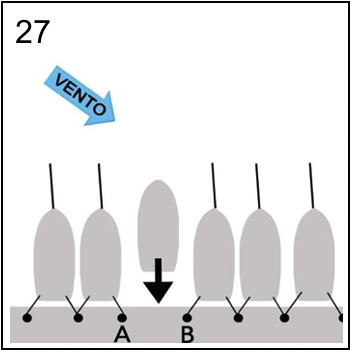 Figura associata al quesito 5