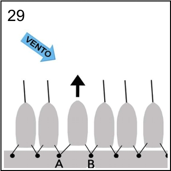 Figura associata al quesito 7