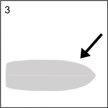 Figura associata al quesito 3