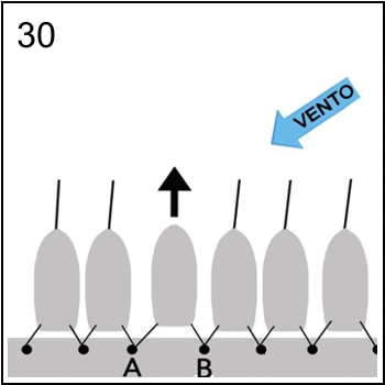 Figura associata al quesito 8