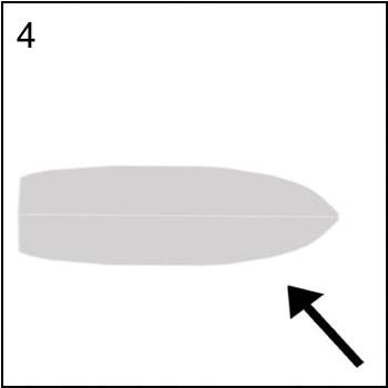 Figura associata al quesito 4