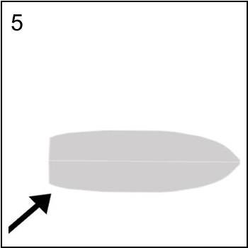 Figura associata al quesito 7