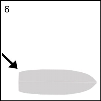 Figura associata al quesito 8