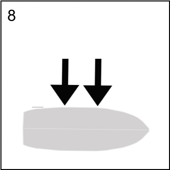 Figura associata al quesito 5